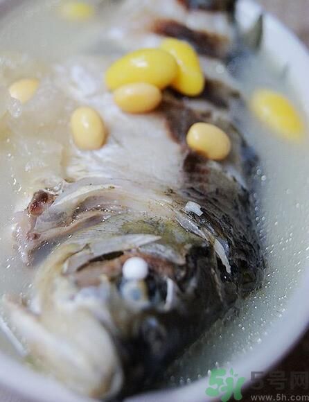夏天吃黃豆好嗎？夏天吃黃豆有什么好處？