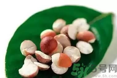 夏天吃芡實(shí)好嗎？夏天吃芡實(shí)有什么好處？