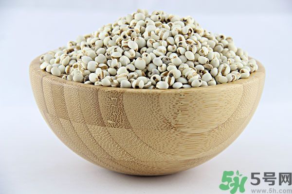 夏天吃薏米好嗎？夏天吃薏米有什么好處？