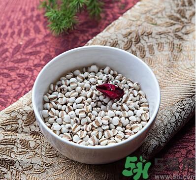 夏天吃薏米好嗎？夏天吃薏米有什么好處？