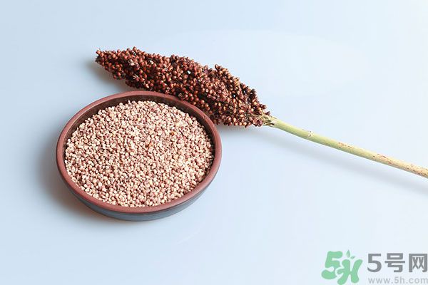 夏天吃高粱好嗎？夏天吃高粱有什么好處？
