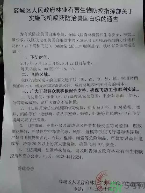 為什么15-25號不要曬被子？什么是美國白蛾？
