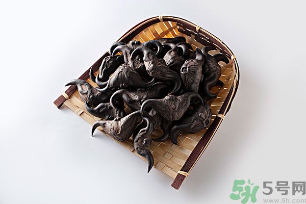 菱角怎么做好吃？菱角的做法有哪些？