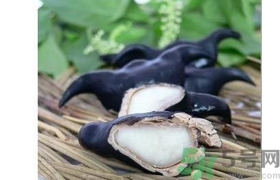 菱角怎么剝完整？菱角剝不開怎么辦？