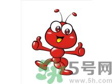 家里有螞蟻怎么辦？驅(qū)除螞蟻的方法是什么？