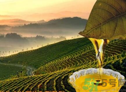 茶籽油可以天天吃嗎？可以每天用茶籽油炒菜嗎？
