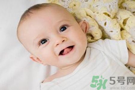 寶寶可以喝米茶嗎？寶寶多大可以喝米茶？