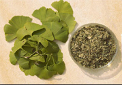 夏天可以喝銀杏葉茶嗎？夏天喝銀杏葉茶好嗎？