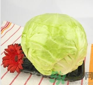 包菜是涼性的嗎？包菜是涼性還是熱性的？