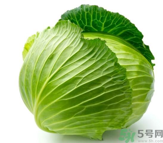 包菜是涼性的嗎？包菜是涼性還是熱性的？