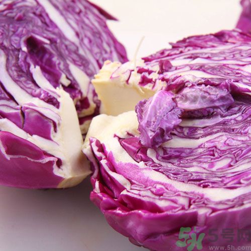 紫甘藍和包菜有什么區(qū)別？紫甘藍是包菜嗎？