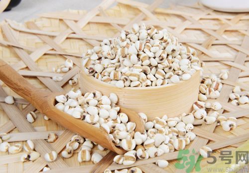 經(jīng)期可以喝薏米水嗎？經(jīng)期喝薏米水會不會肚子痛？