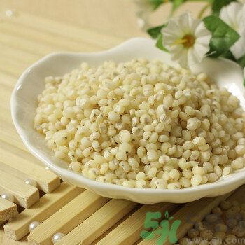 高粱米是涼性嗎？高粱米是涼性還是熱性？