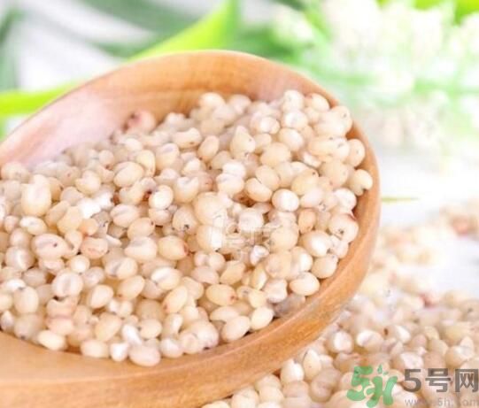 高粱米是發(fā)物嗎？高粱米是不是發(fā)物？