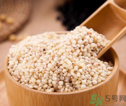 高粱米是發(fā)物嗎？高粱米是不是發(fā)物？
