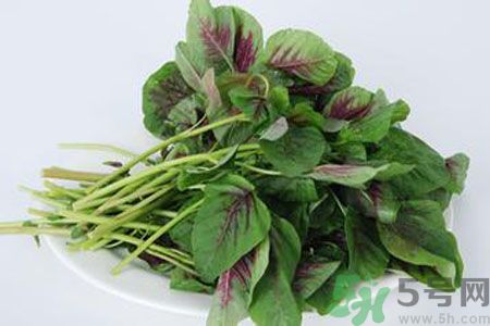 漢菜是熱性還是涼性？漢菜是涼性的嗎？