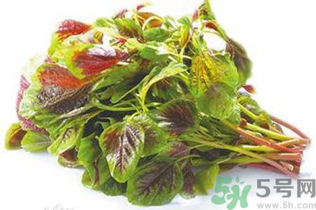 孕婦可以吃漢菜嗎？懷孕可以吃漢菜嗎？