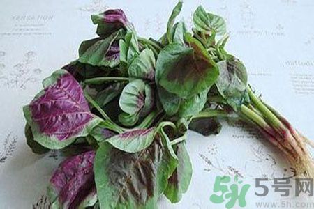 寶寶可以吃漢菜嗎？寶寶吃漢菜好嗎？