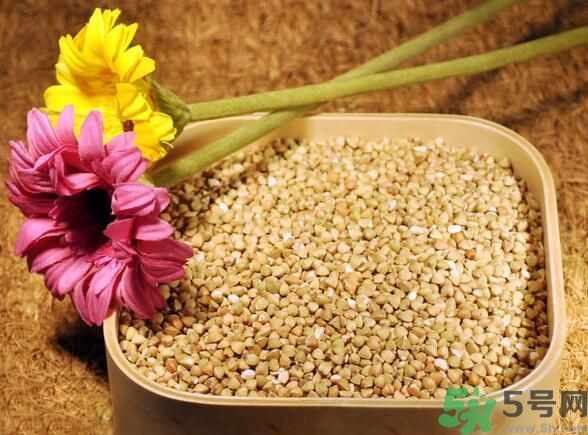 蕎麥?zhǔn)前l(fā)物嗎？蕎麥?zhǔn)遣皇前l(fā)物？