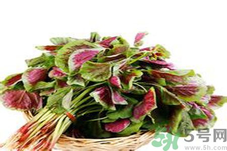 胃不好可以吃莧菜嗎？胃不好吃莧菜好嗎？