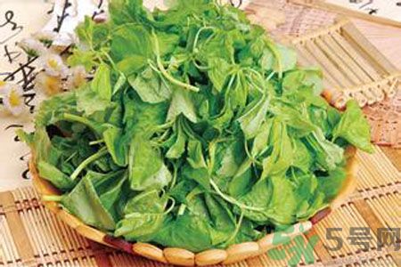 胃不好可以吃莧菜嗎？胃不好吃莧菜好嗎？