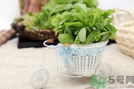 月經(jīng)期間可以吃漢菜嗎？來月經(jīng)可以吃漢菜嗎？