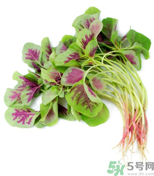 吃莧菜會皮膚過敏嗎？吃莧菜皮膚過敏怎么辦？
