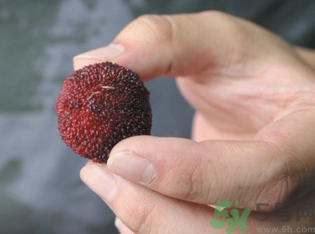 楊梅里面的蟲子能吃嗎？楊梅里面的蟲子吃了會(huì)怎么樣？