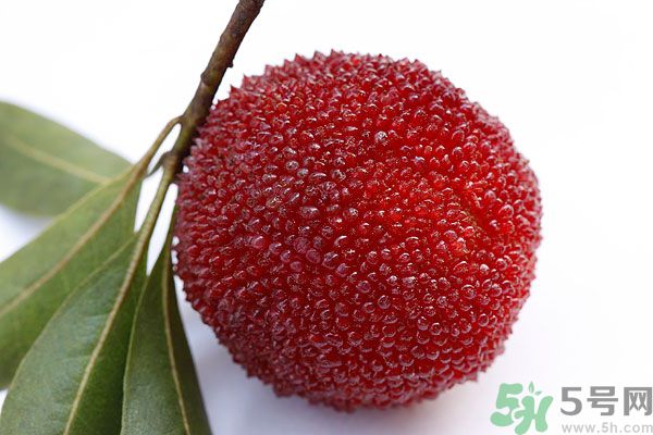 楊梅里面的蟲子能吃嗎？楊梅里面的蟲子吃了會(huì)怎么樣？