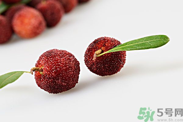 楊梅里面的蟲(chóng)子是什么是蛆嗎？楊梅里的蟲(chóng)子有害嗎？