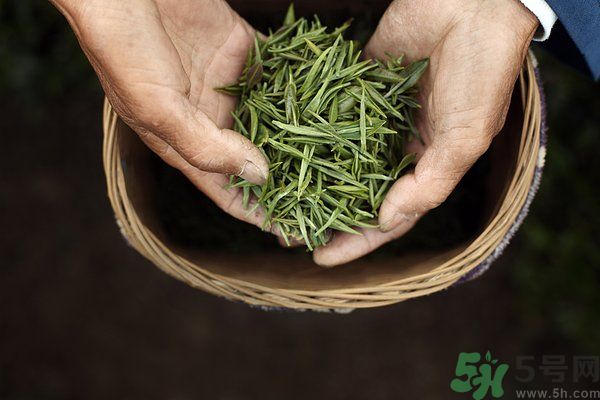 吃魚的時候能喝茶嗎？吃魚可以喝茶嗎？