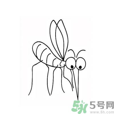 夏天家中有蒼蠅怎么辦？夏天如何滅蒼蠅？