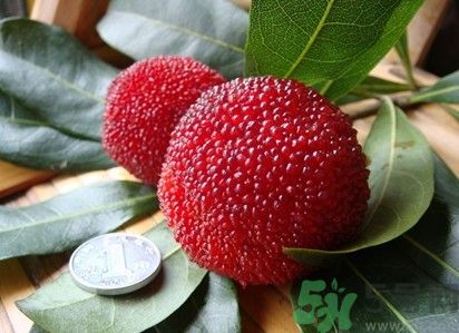 楊梅紅色好還是黑色好？楊梅顏色越深越好嗎？