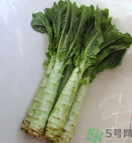 筍子是不是發(fā)物？筍子是發(fā)物嗎？