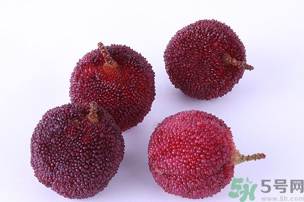 楊梅里面有小蟲(chóng)怎么洗？楊梅里的蟲(chóng)子怎么弄出來(lái)？