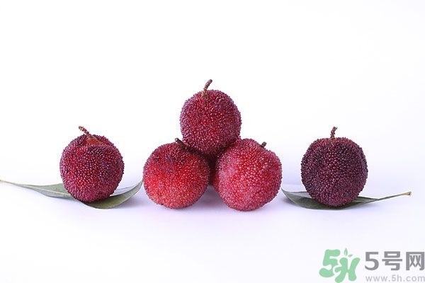 楊梅里面有小蟲(chóng)怎么洗？楊梅里的蟲(chóng)子怎么弄出來(lái)？
