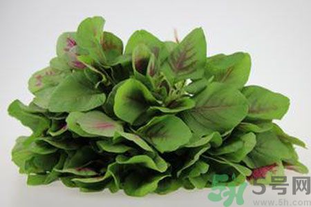 莧菜可以生吃嗎？莧菜生吃了會(huì)怎樣？