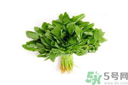 莧菜可以生吃嗎？莧菜生吃了會(huì)怎樣？