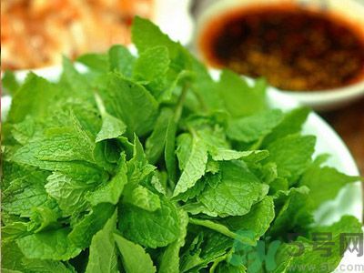薄荷有什么功效？薄荷的攻效是什么？