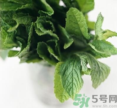 薄荷有什么功效？薄荷的攻效是什么？