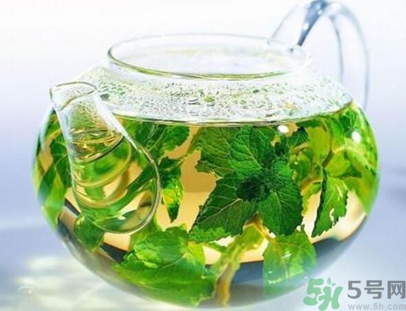 薄荷茶怎么泡好喝？薄荷茶的沖泡方法有哪些？