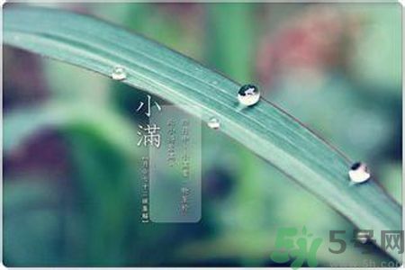 小滿容易得什么皮膚??？小滿得了皮膚病怎么辦？