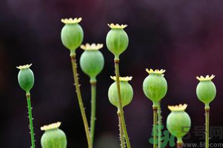 小滿做什么運(yùn)動(dòng)好？小滿運(yùn)動(dòng)要注意什么？