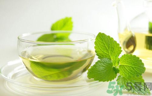  孕婦可以喝薄荷茶嗎？孕婦能喝薄荷泡的茶嗎？