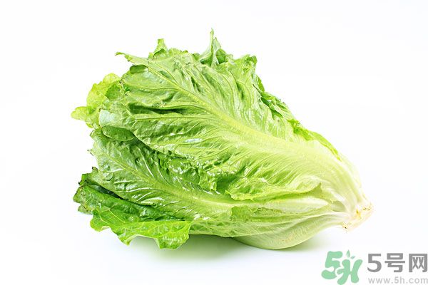 生菜在冰箱放久了能吃嗎？如何分辨生菜新不新鮮？