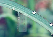 為什么小滿濕氣重？小滿怎么除濕氣？