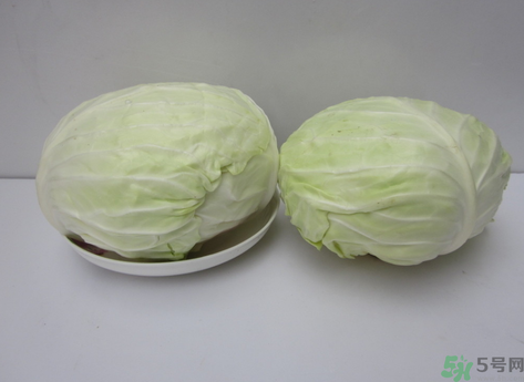 包菜榨汁要加水嗎？包菜汁怎么做？