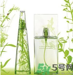蚊子叮的包過幾天又癢是為什么？蚊子叮的包過幾天又癢怎么辦？