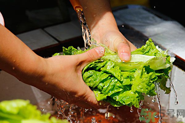 蔬菜怎么洗干凈？蔬菜怎么洗沒有寄生蟲？
