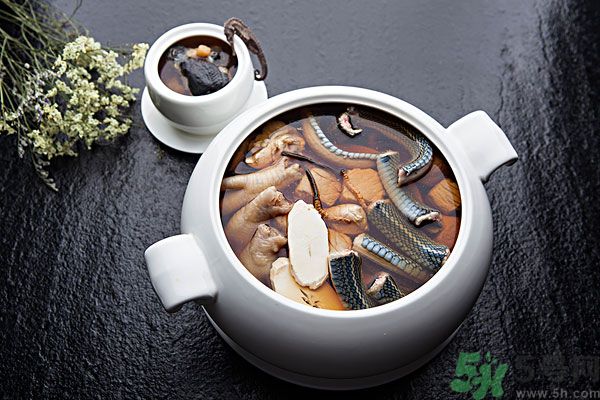 蛇肉是涼性嗎？蛇肉是涼性還是熱性？